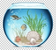 aquarium014b