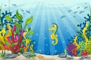 aquarium020b