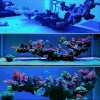aquarium030b