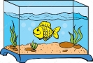 aquarium113b