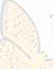 butterfly_background_page