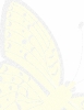 butterfly_background_page_mottled