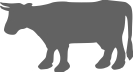 cow_silhouette_2