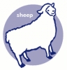 sheep_icon