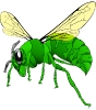 green_hornet