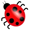 ladybug_01