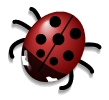 ladybug_02