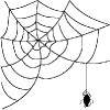spiderweb_1