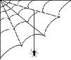 spiderweb_3