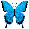 vlinder012