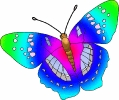 vlinder016