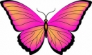vlinder045