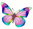 vlinder057