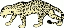 leopard_2