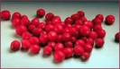 cranberries_2