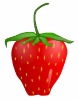strawberry_0