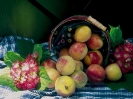 fruit foto_103