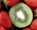 Fruit foto