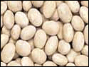 beans_navy