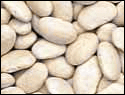 beans_northern
