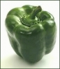 bell_pepper_green