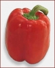 bell_pepper_red