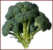 broccoli_2