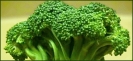 broccoli_banner