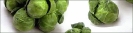 brussel_sprouts_banner