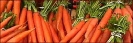 carrot_banner