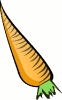 carrot_large