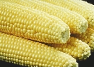corn_on_the_cob_3