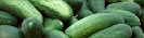 cucumbers_banner