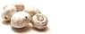 mushroom_button