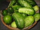 pickling_cucumbers