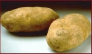 potato_1