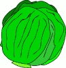 whole_lettuce