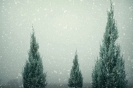 Kerst-winter achtergrond_61