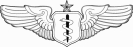 Flight_Surgeon_badge__Senior_Level