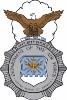 Security_Police_badge