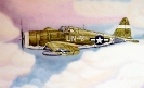 P-47_Thunderbolt__color