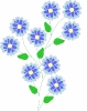 blue_flowers_T