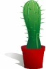 cactus_in_planter_T