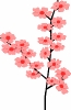 cherry_blossom_graphic_T