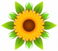 flower_decorative_sunflower_T