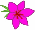 flower_pink_T