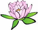 lotus_flower_pink_T
