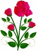 rose_blooming_T