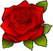 rose_red_T