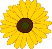 sunflower_clipart_T